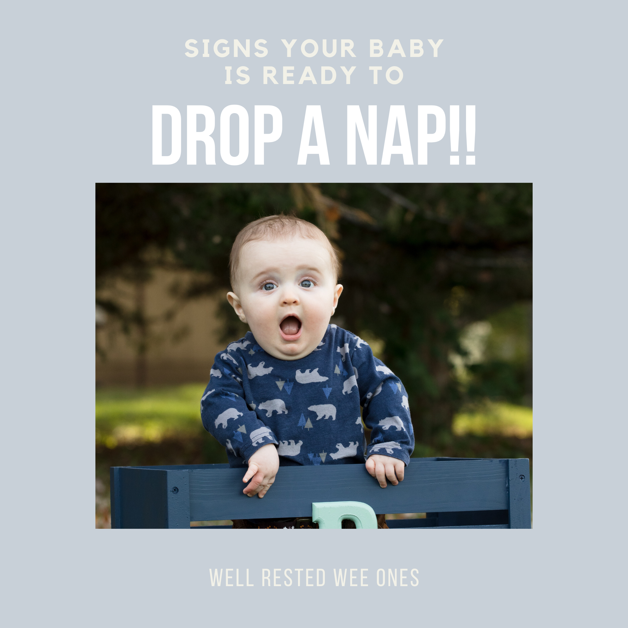 Signs Your Baby Is Ready To Drop A Nap - Well Rested Wee Ones